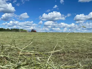 Более половины запланированного объема сена заготовлено в Нижегородской области